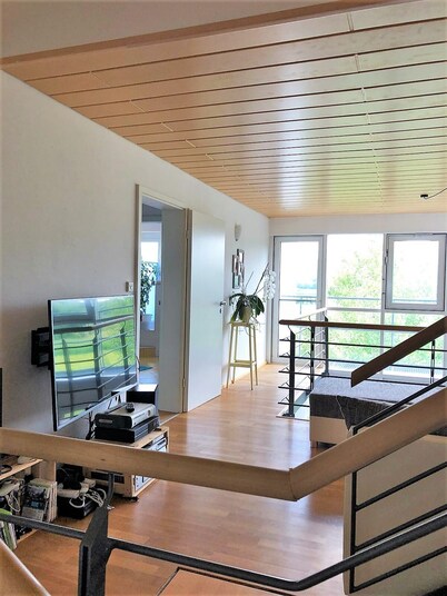 Great big apartment with fireplace and terrace