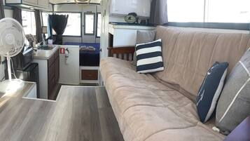 Smart TV, fireplace, books