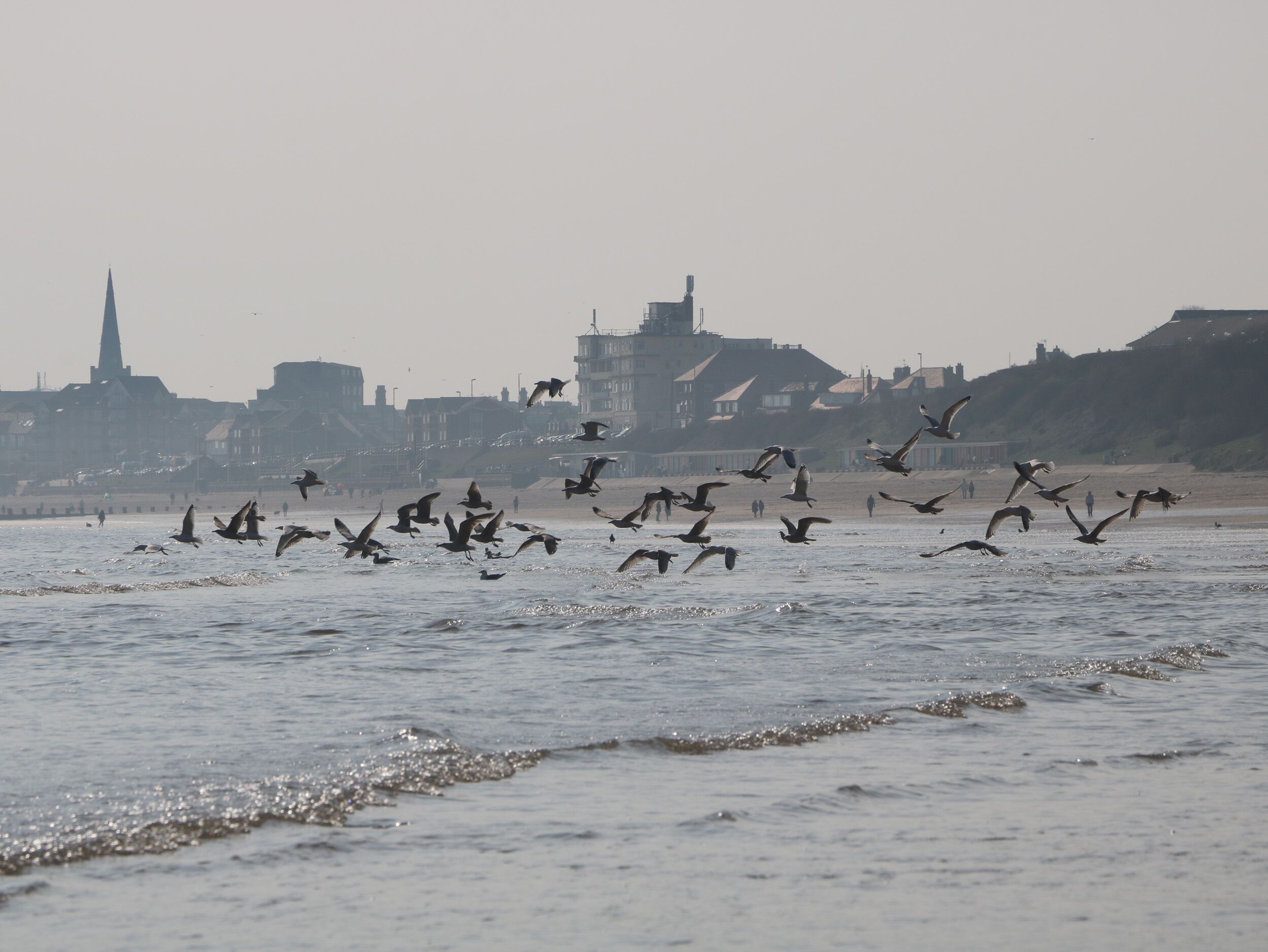 Una playa con olas y una bandada de pájaros volando sobre el agua. En el fondo, se ven edificios y el campanario de una iglesia.