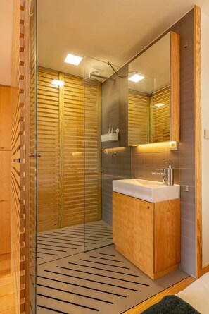 Douche, séchoir à cheveux, serviettes fournies, shampooing