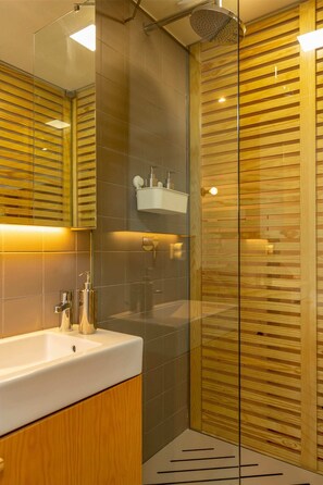 Regadera, secadora de cabello, toallas