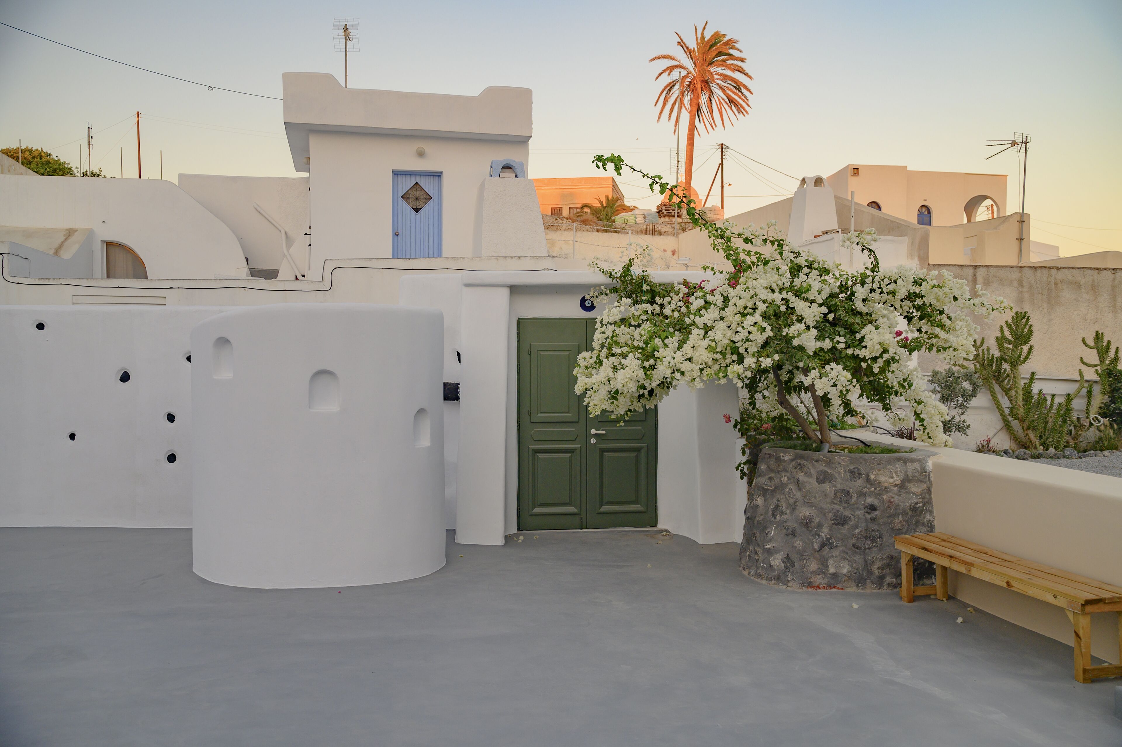 A white building with a green door, a bench, and a potted plant with white flowers.