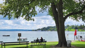 A lakeside park with benches and a large tree.