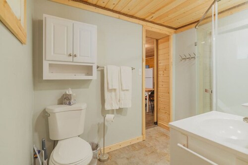 9713 Salcha Dr, Salcha AK  · Lake Chateau's Private Cabin