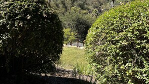 A pathway surrounded by lush greenery and a mountainous landscape in the background. - Mountain Views/Studio in Montecito. 7-10 min to beach or downtown SB (Montecito)