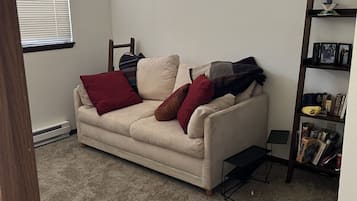 TV, books, computer monitors