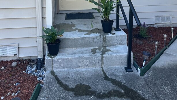 Una casa blanca con el número 103 en la puerta, un pequeño jardín con plantas en macetas y una escalera de hormigón que lleva a la entrada.