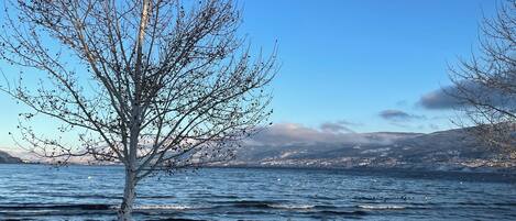 A bench in a snowy park with a clear view of a lake and distant mountains.