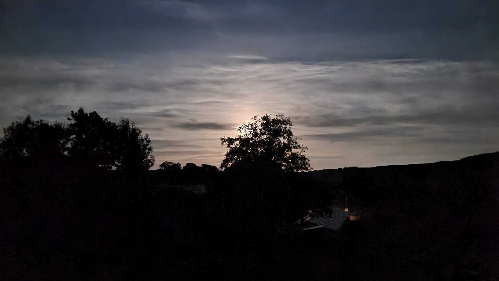Eine Baumsilhouette vor einem staubigen Himmel.
