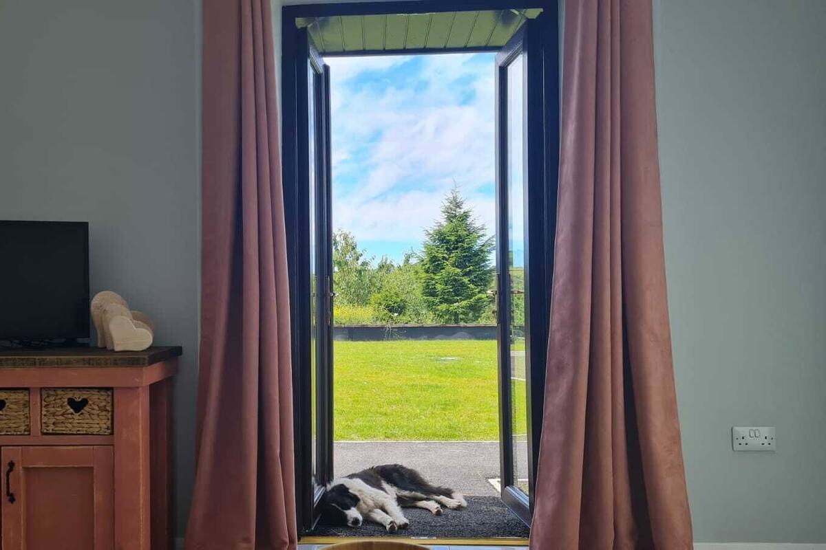 A room with a television on a wooden cabinet, a dog lying on a mat, and a view of a green field and trees through a doorway with curtains.