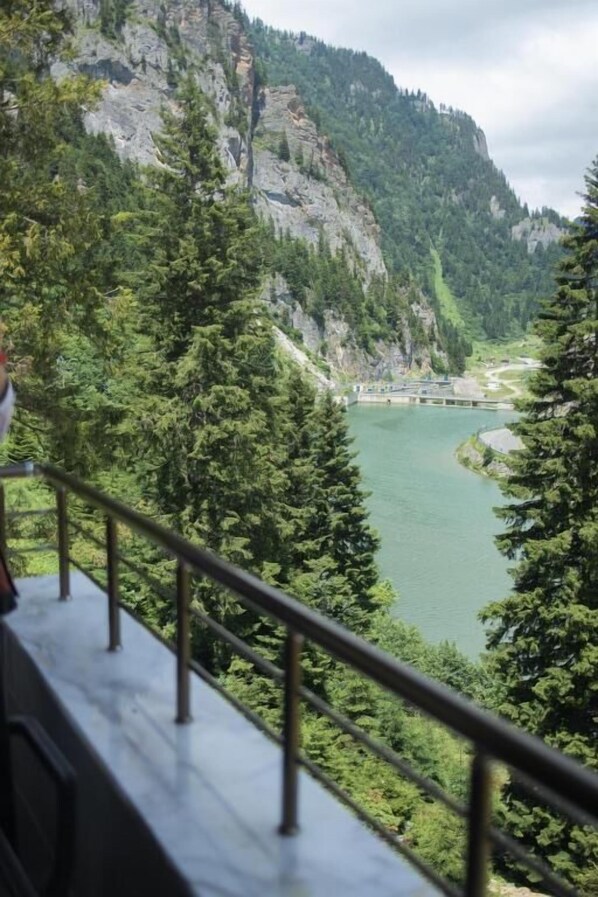 Une vue depuis un balcon donnant sur une rivière, entourée d’une forêt dense et de falaises rocheuses.