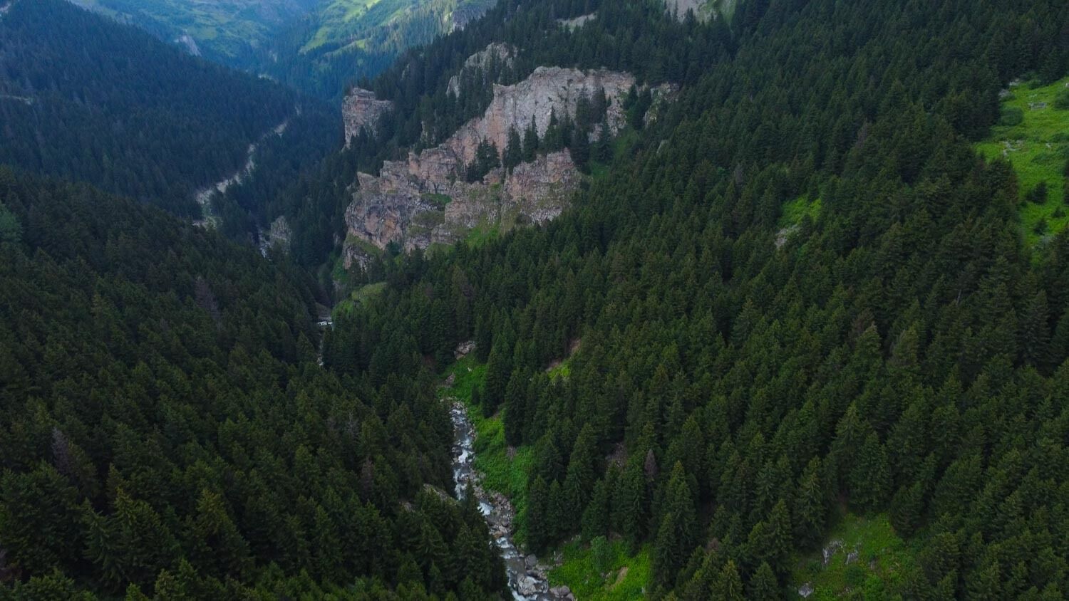 A mountainous landscape with dense forests and a river.