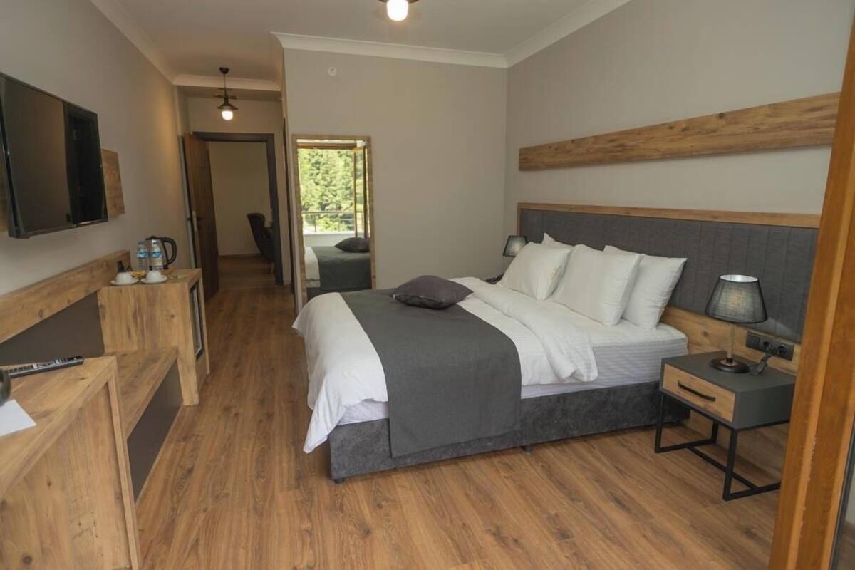 A modern bedroom with a large bed, bedside tables, a TV, and a view of the outdoors.