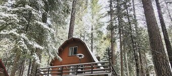 Private Lake Access! Near Pinecrest & Dodge Ridge - Great for kids and families