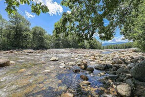 A rocky riverbed with clear water, surrounded by dense green trees and a clear blue sky.
