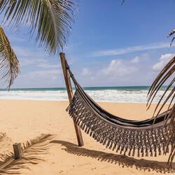 On the beach, sun-loungers, beach umbrellas, beach towels