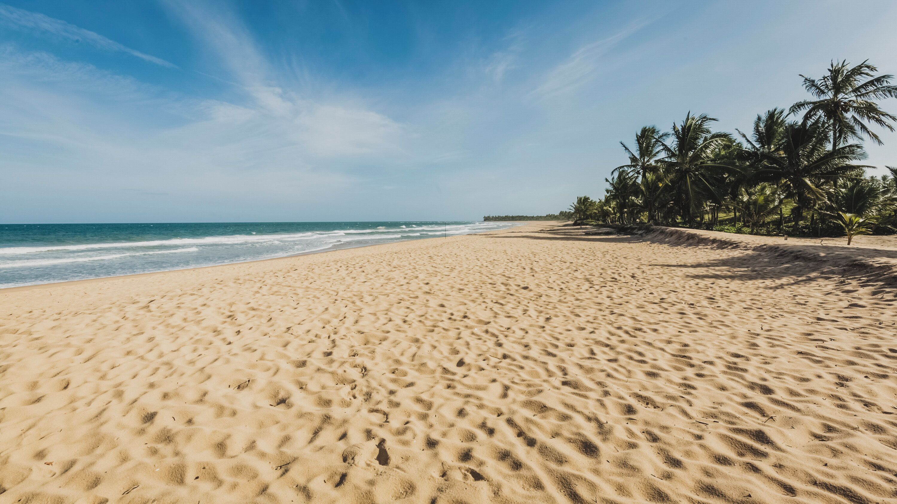 Una amplia playa arenosa con olas suaves, palmeras y cielo despejado.
