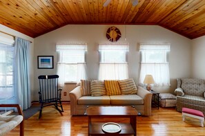 电视、DVD 播放器、书、影片库