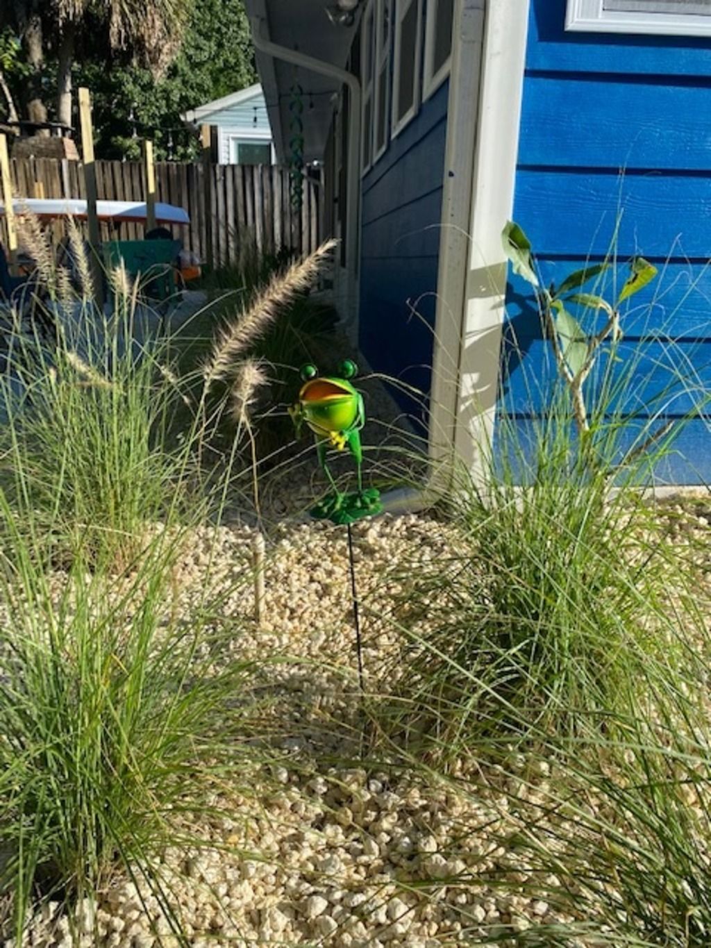 A garden area with a frog statue, a wooden fence, and a blue building.