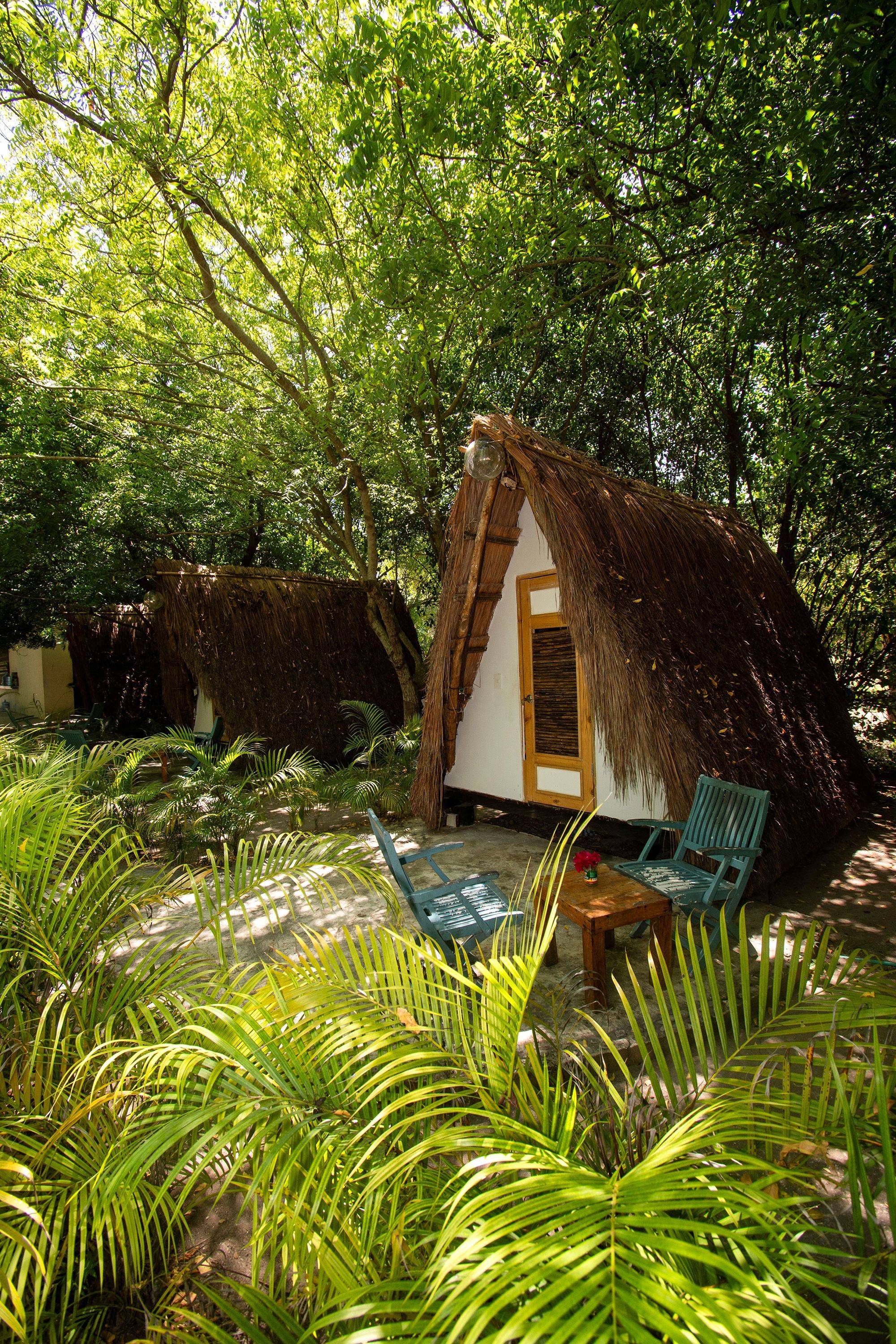 Une cabane à toit de chaume, avec une porte en bois et un banc à l’extérieur.