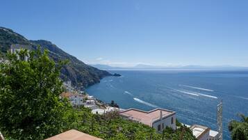 Vista dalla struttura