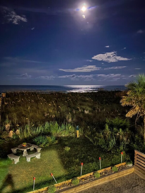 Property grounds - #5 Steps away from beach! 1 mile from CB Boardwalk (Carolina Beach)