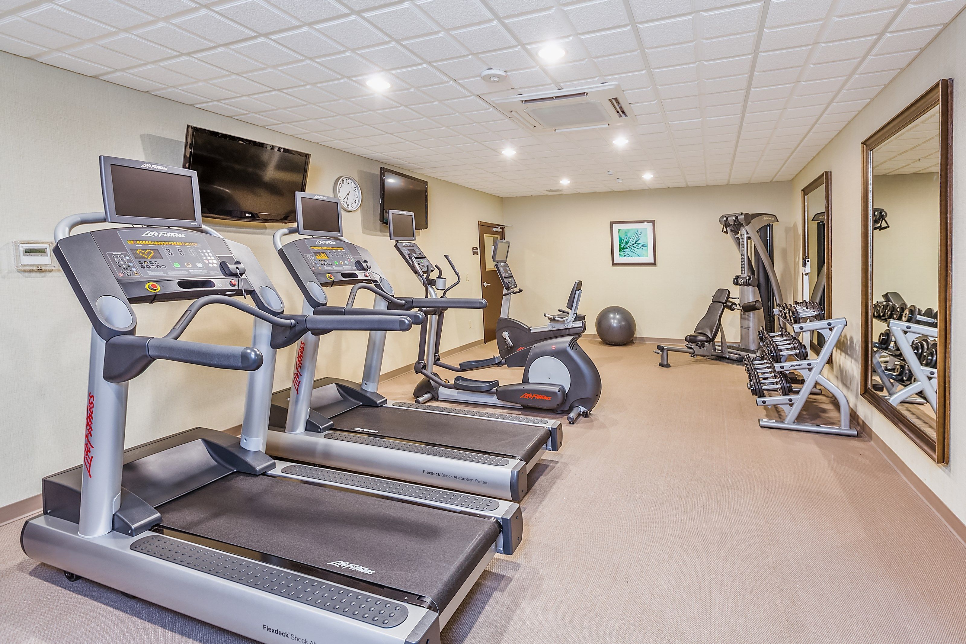 Un gimnasio con cintas de correr, elípticas y equipo de pesas.