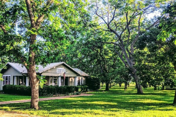 A house with a sloped roof, surrounded by lush greenery and trees. - 3 Houses 30 guests Country 14 acre Pecan Orchard (Maxwell)