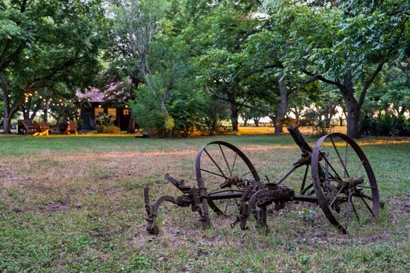 Property grounds