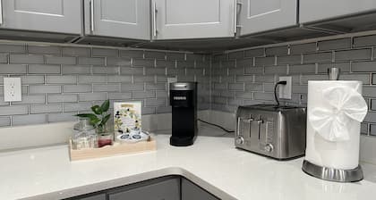 233-1  4BR - Boston Cozy Apt near Park Zoo