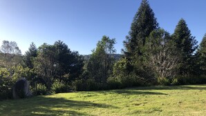 A grassy field with trees and a large rock. - Country Lane Cottage (Mount Samson)
