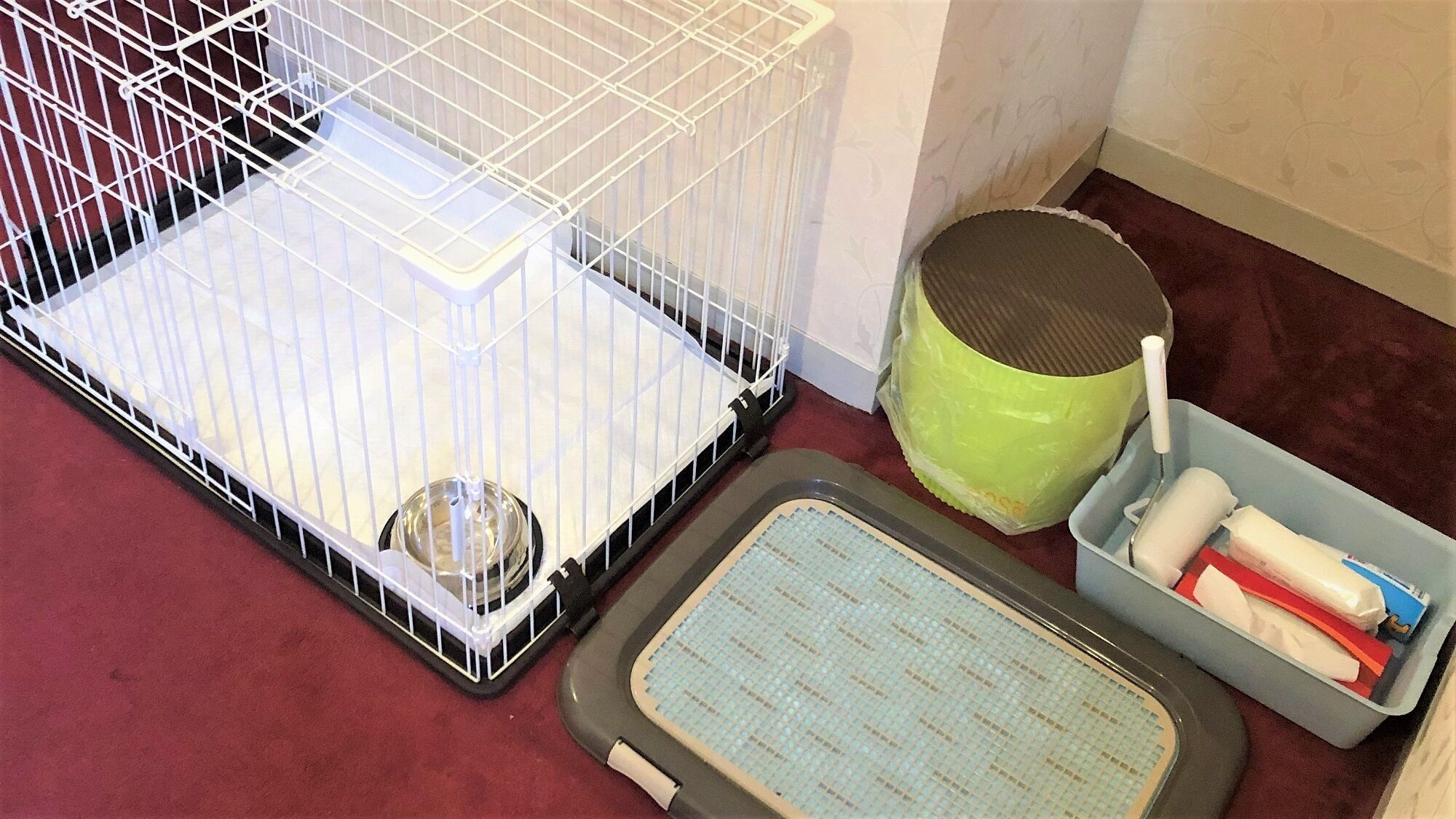 A pet cage, a litter box, and a tray with a litter scoop.