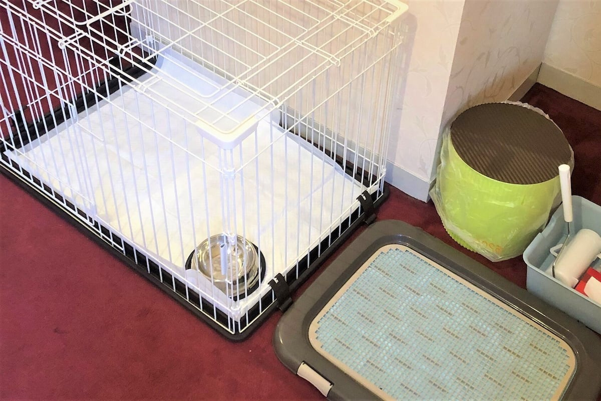 A pet cage, a litter box, and a tray with a litter scoop.