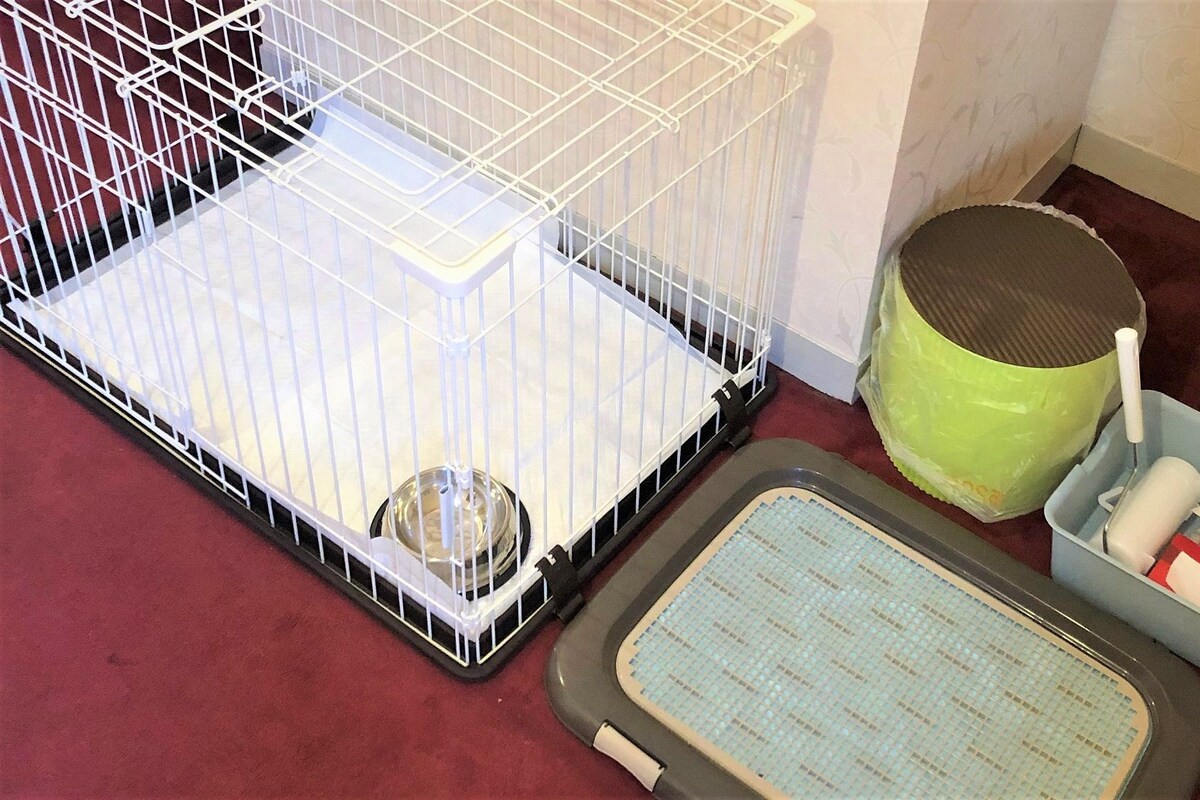 A pet cage, a litter box, and a tray with a litter scoop.
