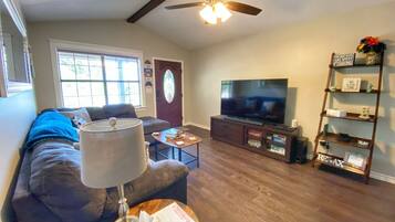 Smart TV, DVD player, streaming services