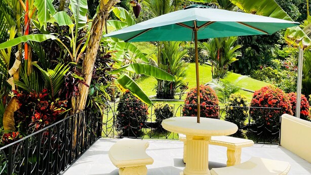 Une terrasse extérieure avec une table et des chaises, entourée d’une végétation tropicale luxuriante et d’une clôture en métal.