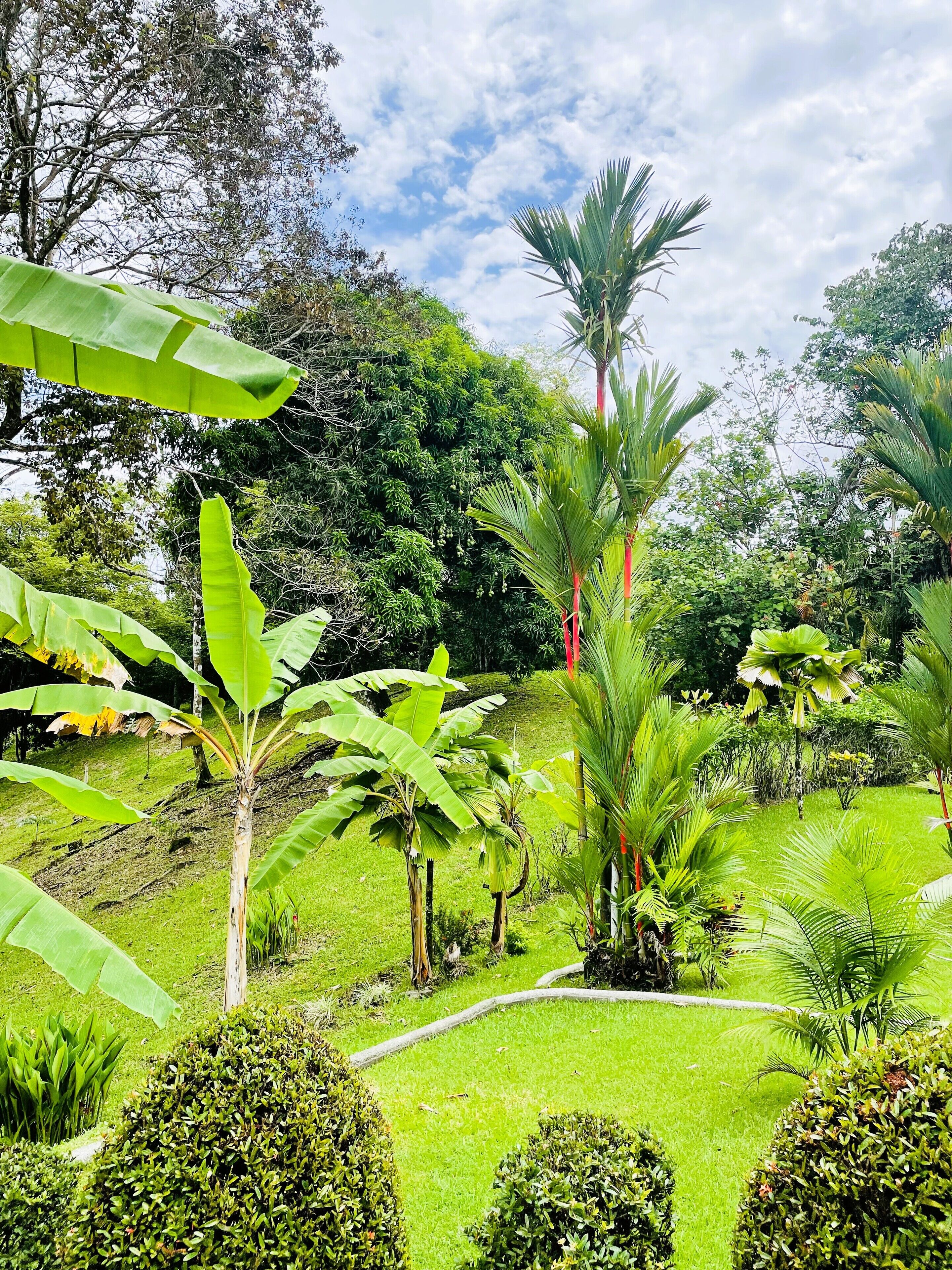 Áreas de la propiedad