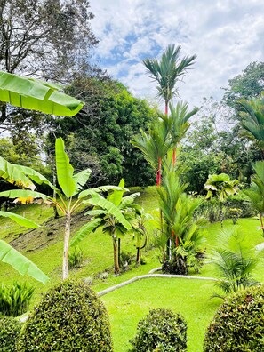 Property grounds - Dreams of love a place full of wonders and peace. (Manuel Antonio)