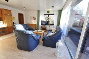 Fernseher, Stereoanlage