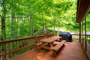 Outdoor dining - Bear Ridge - 286 Hikers Challenge Road (Davis)