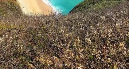 2 Bed Home Sleeps 4 - Pets, Balcony, Parking