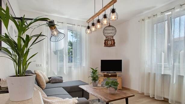 Un salon moderne avec un canapé, une table basse, un téléviseur et une plante en pot.