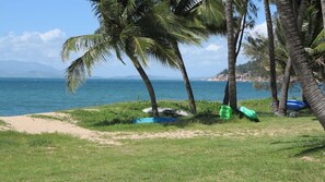 A beach with palm trees, a sandy area, and a body of water.