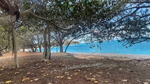 On the beach - Arcadia Beach Unit 4 - Charming sunny apartment with front row balcony view over Geoffrey Bay (Arcadia)