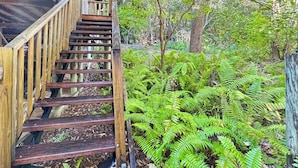 A wooden staircase leading to a building with a natural, forested backdrop. - Kameruka (Arcadia)