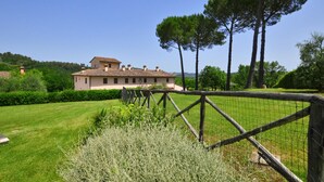 Property grounds - Francigena 6, Castelfiorentino, Italy (Castelfiorentino)