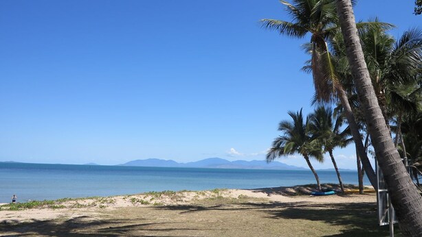 A beach with palm trees, a clear sky, and mountains in the distance.