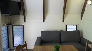 Televisio, DVD-soitin