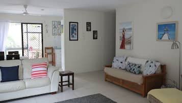 電視、DVD 播放機