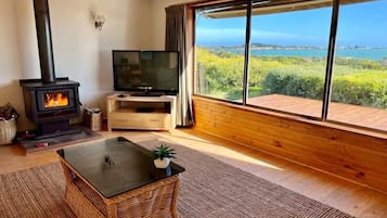 Télévision, cheminée